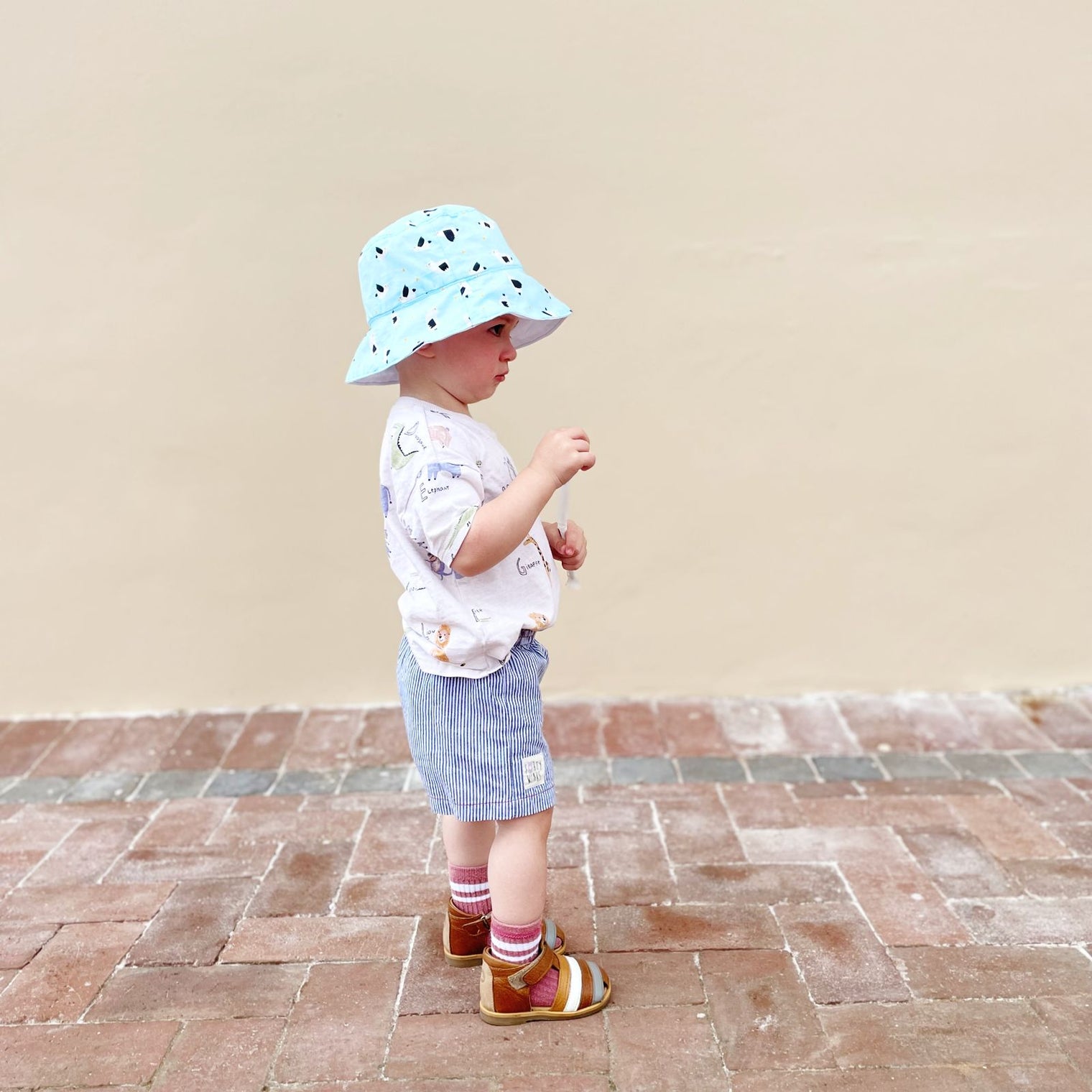 Bucket Hat | Blue Birds | Reversible